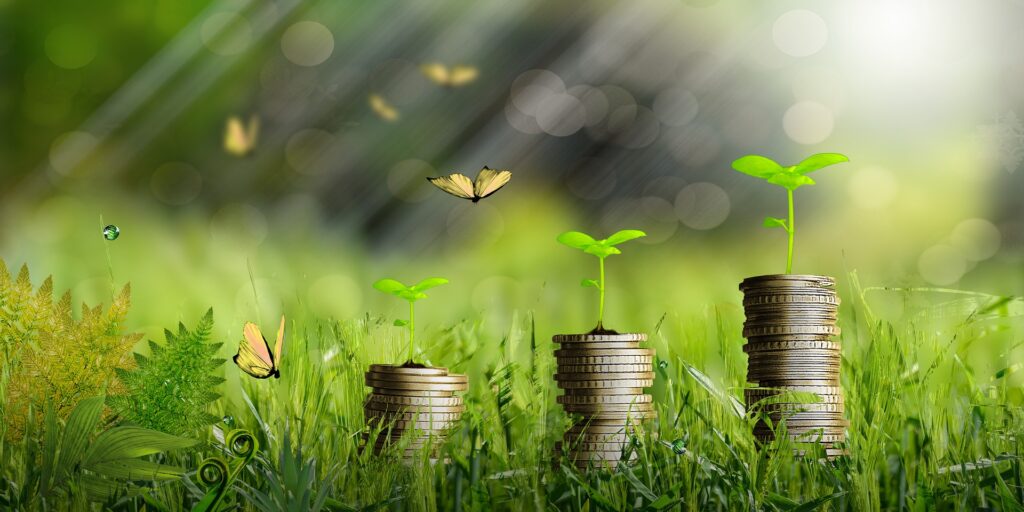 Poznaj europejskie projekty, które zwyciężyły w programie LIFE 2020