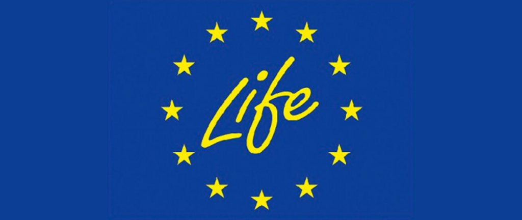 Granty operacyjne LIFE – nawet 700 tys. euro rocznie dla NGO